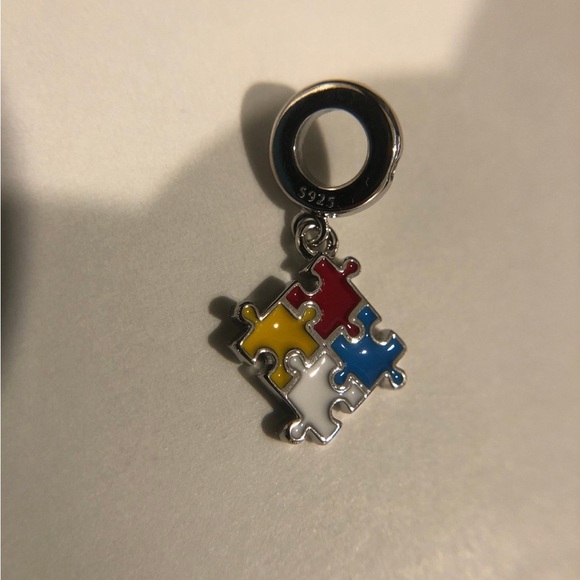 925 Sterling Silver Autism Spectrum awareness Pendant Charm, fits pandora - Picture 3 of 5